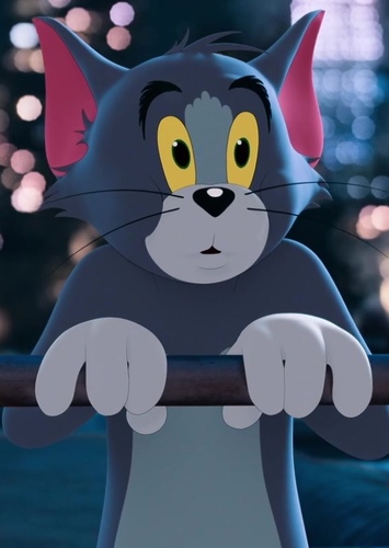 Tom Cat