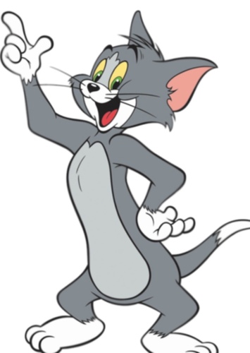 Tom Cat