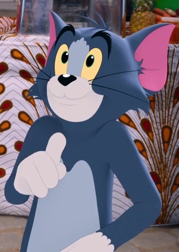 Tom Cat