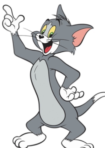 Tom Cat