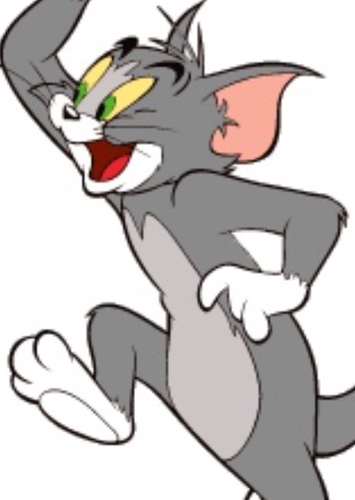 Tom Cat