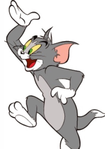 Tom Cat