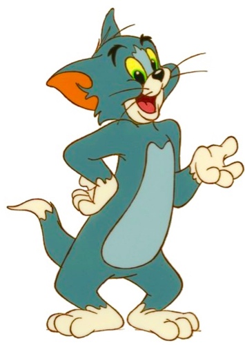 Tom Cat