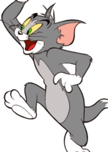 Tom Cat