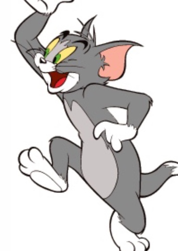 Tom Cat