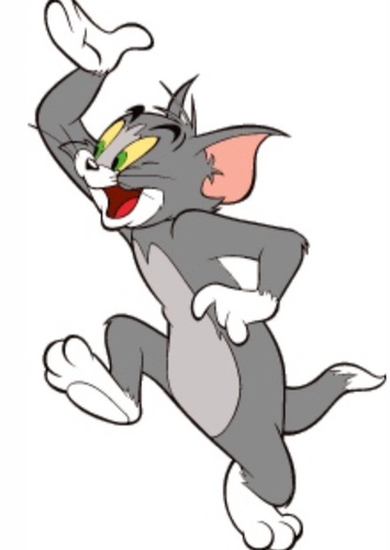 Tom Cat