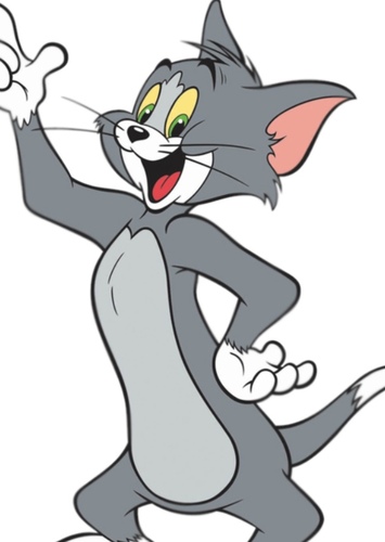 Tom Cat