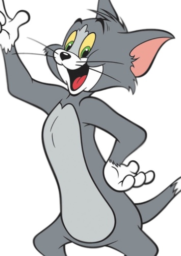 Tom Cat