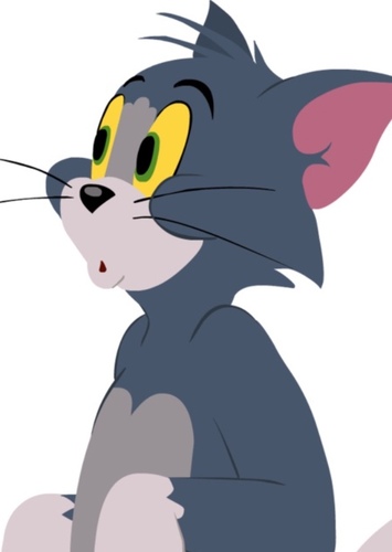 Tom Cat