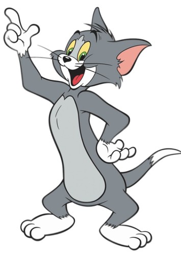 Tom Cat