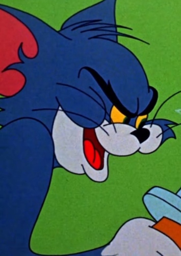 Tom Cat