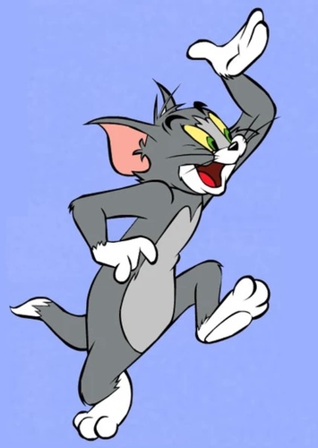 Tom Cat