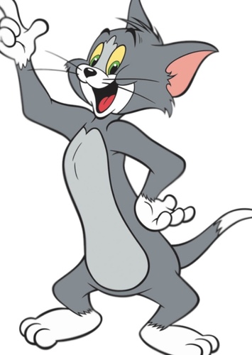 Tom Cat