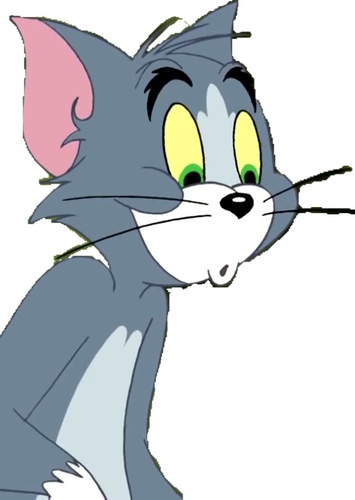 Tom Cat
