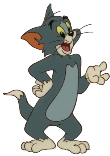 Tom Cat