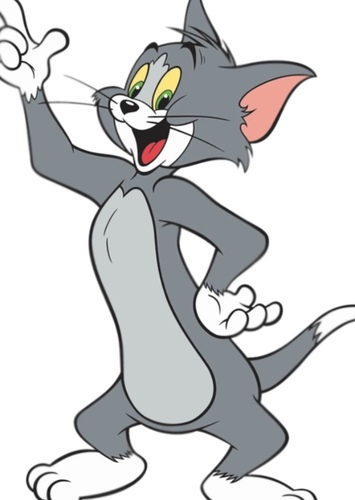 Tom Cat
