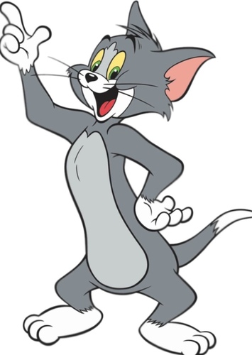 Tom Cat