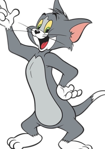 Tom Cat