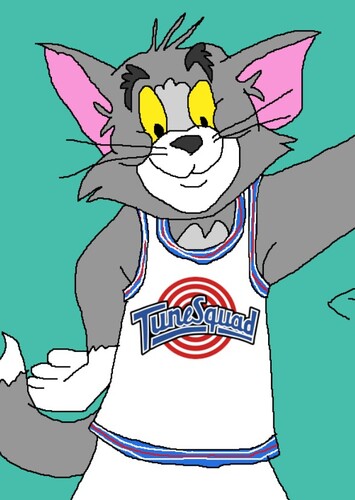 Tom Cat