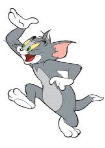 Tom Cat
