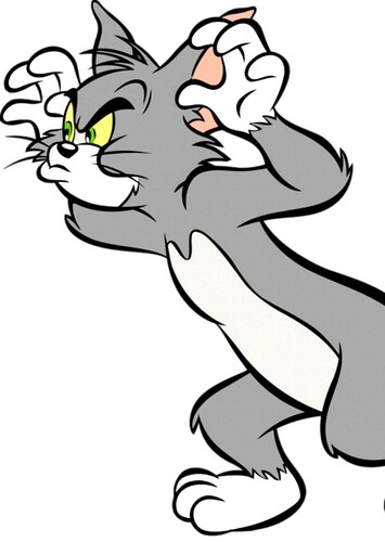 Tom Cat
