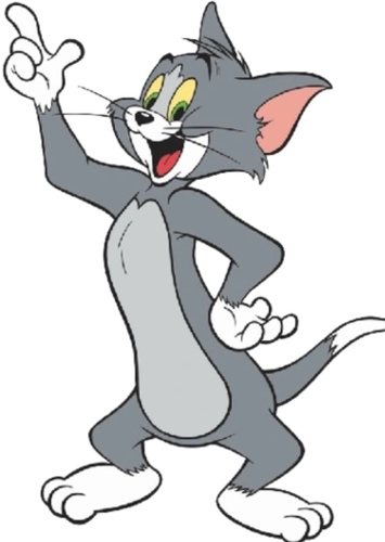 Tom Cat