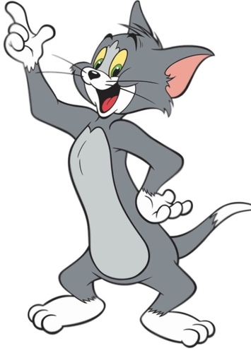 Tom Cat