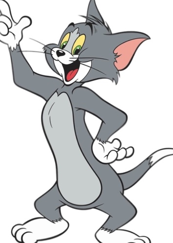 Tom Cat
