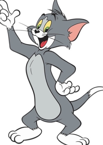 Tom Cat