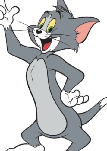 Tom Cat