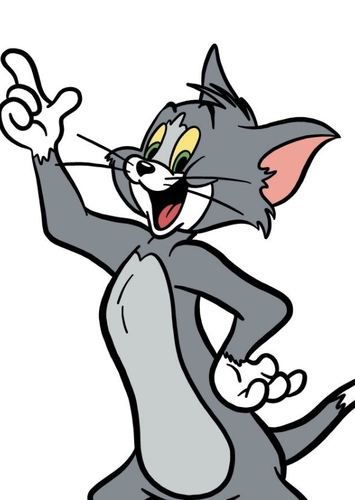 Tom Cat