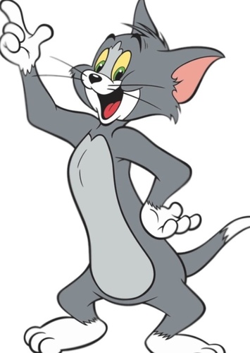 Tom Cat