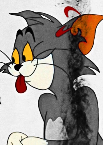 Tom Cat