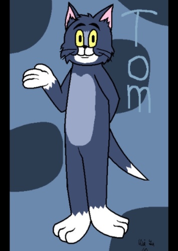 Tom Cat