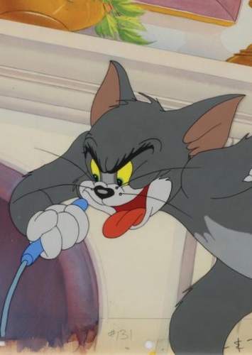 Tom Cat