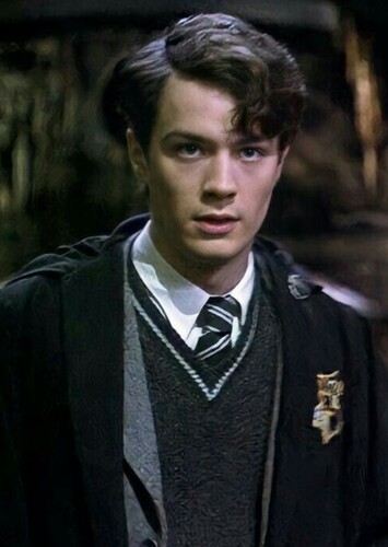 Tom Riddle / Harry Potter
