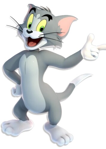 Tom the Cat