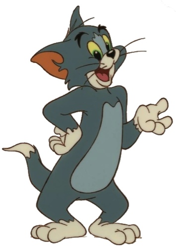 Tom The Cat
