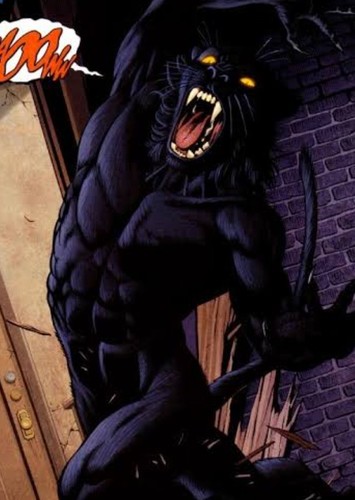 Tomcat