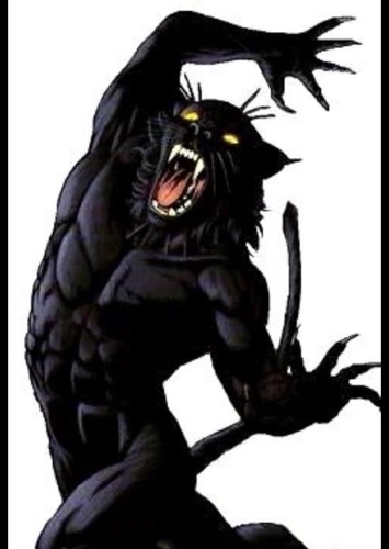 Tomcat