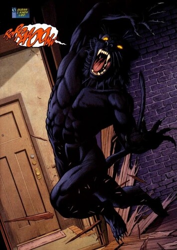 Tomcat
