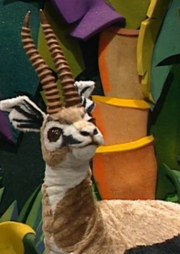 Tommy the Thomson's Gazelle