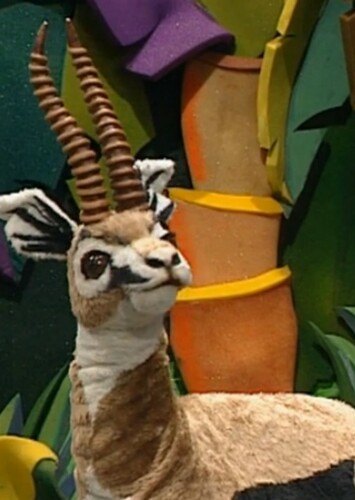 Tommy the Thomson's Gazelle
