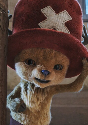 Tony Tony Chopper
