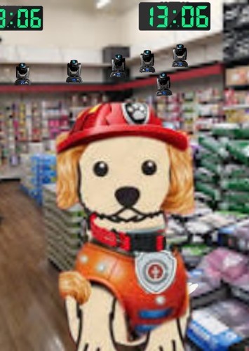 Tootie the Paw patrol pup