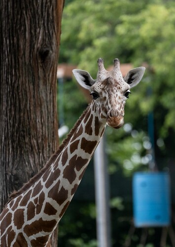 Topeka Zoo