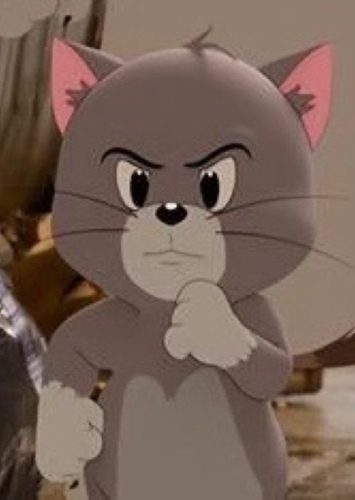 Topsy Cat