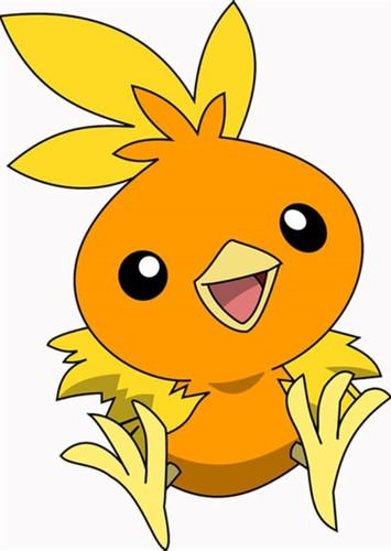 Torchic