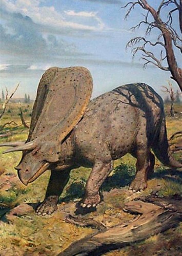 Torosaurus