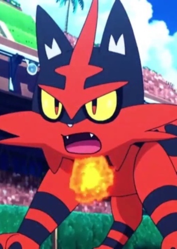 Torracat